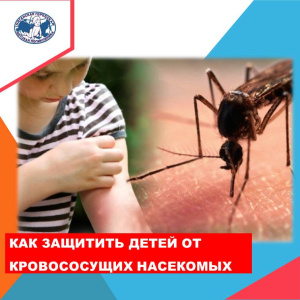 Виды антикомариной защиты