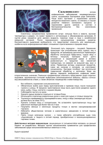 Сальмонеллез — острое инфекционное заболевание