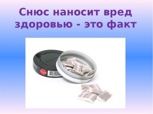 сньюс