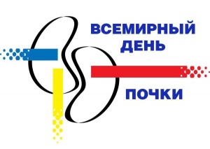 Почки- основная роль в организме 