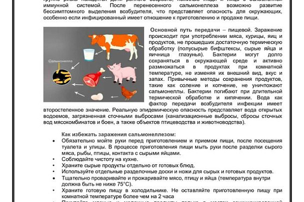 Сальмонеллез — острое инфекционное заболевание