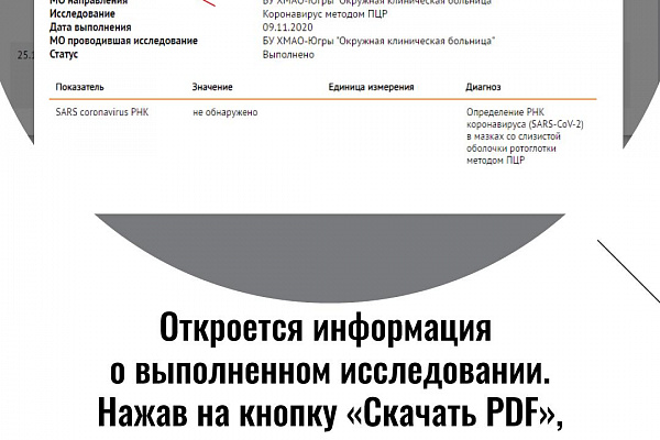 Результаты тестирования в электронном виде 